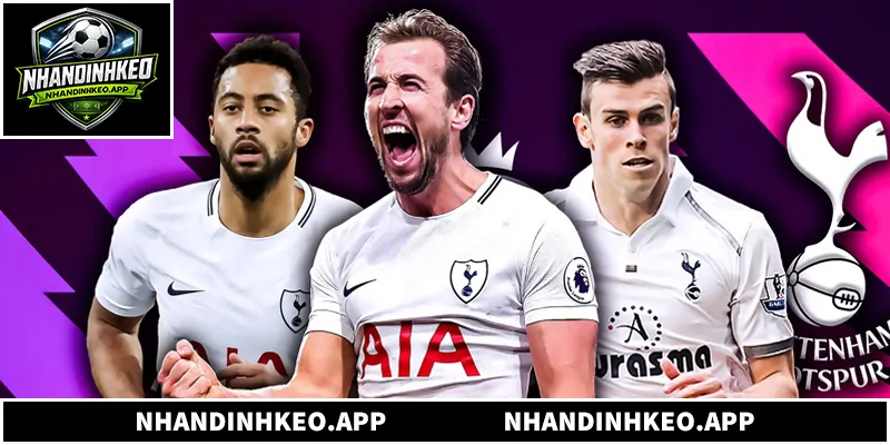 Nhận Định Tottenham - Phân Tích Phong Độ Và Dự Đoán Chuẩn